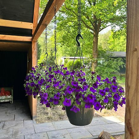 Wellness In The Woods - 4P Tinyhouse Met Prive Sauna & Hottub Diessen Εξωτερικό φωτογραφία